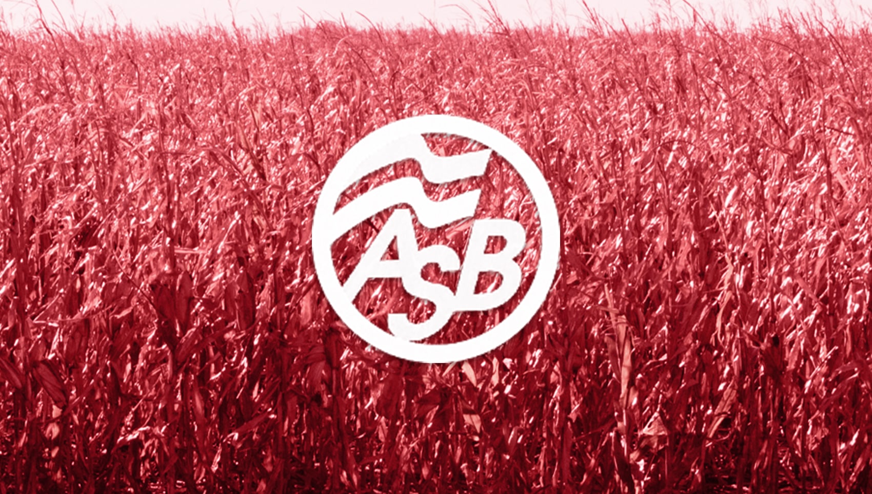 AGRIServices of Brunswick logo