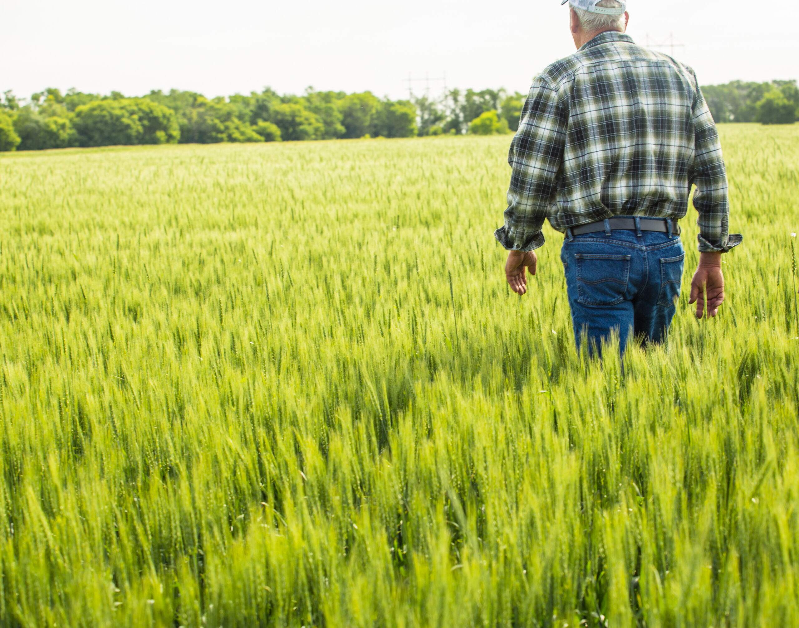 Helping farmers navigate sustainability opportunities