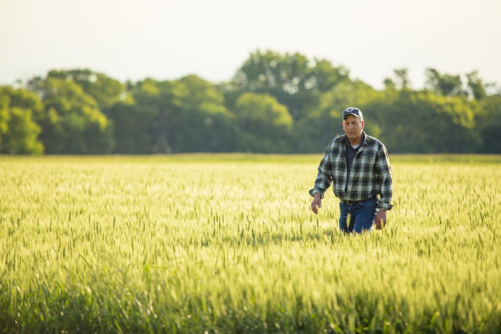 Farmer walking the field