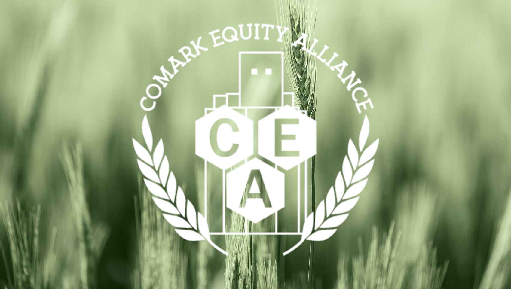 CoMark Logo
