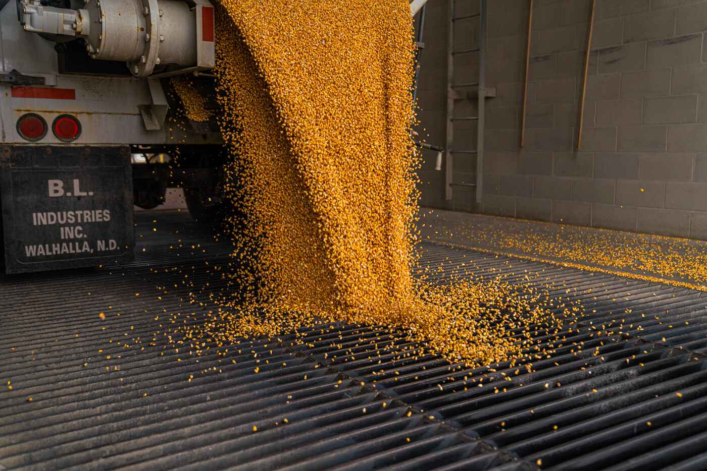 Grain pouring into a grate