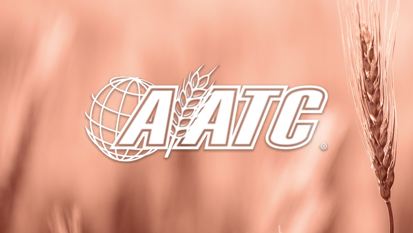 American Agco Logo