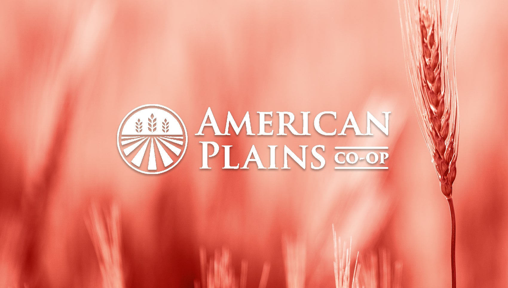American Plains Logo