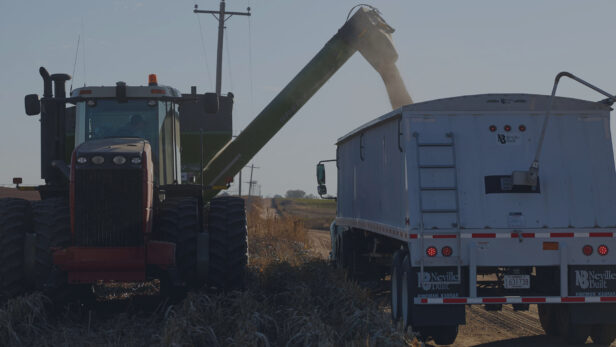 A grain auger attached to a red tractor loading grain into a rear facing semi truck